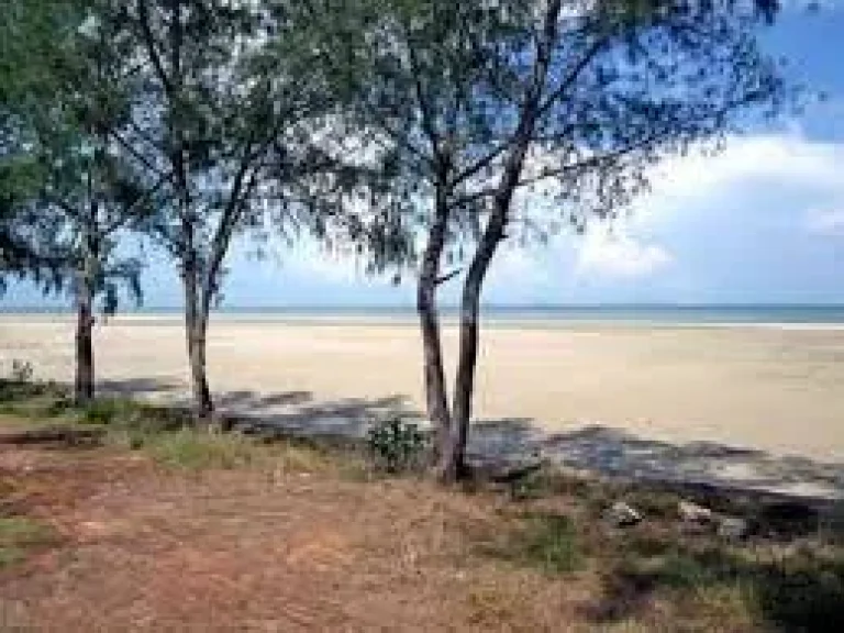 ขายที่ดินติดทะเล ชายหาดส่วนตัว 2 ไร่ เหมาะสำหรับปลูกบ้านติดทะเลหาดส่วนตัว