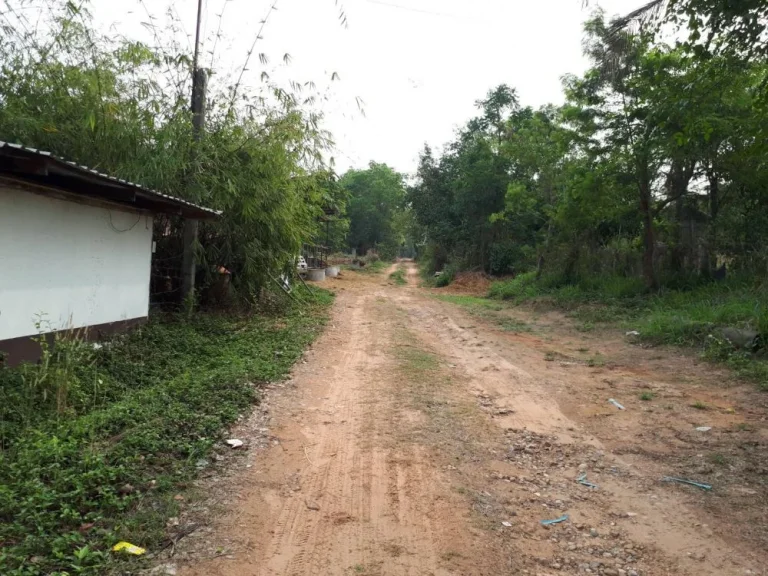 ขายบ้านพร้อมที่ดิน 26 ไร่ ติดถนนมิตรภาพ ขอนแก่น-อุดร