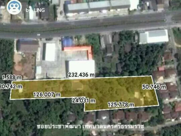 ขายที่ดินบ้านสวนปาล์มกลางเมืองนคร0865945247