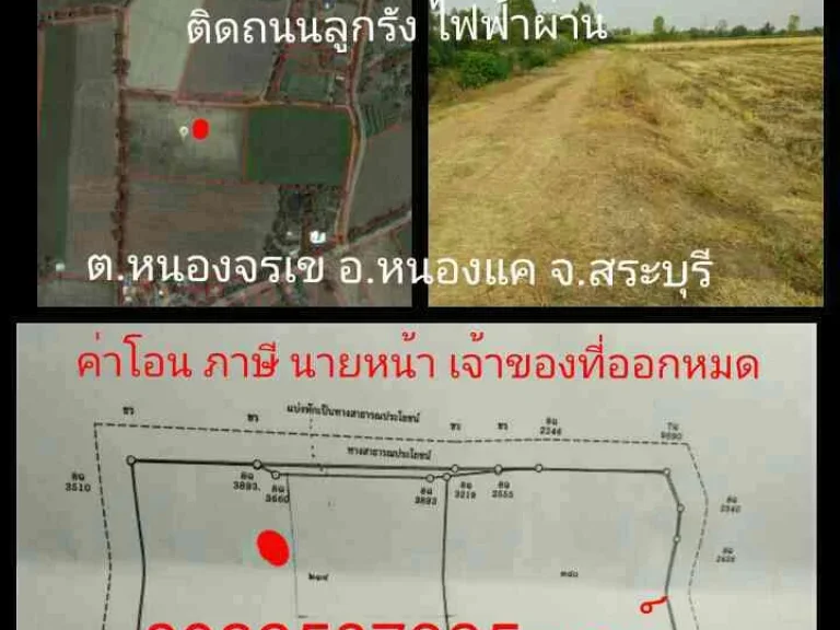 ขายที่ดิน 10ไร่ ตหนองจรเข้