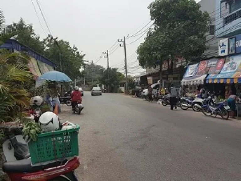 ขายที่ดินจังหวัดเชียงใหม่ติดแม่น้ำปิง ถนนป่าตัน ขนาด 2 ไร่ 2 งาน 98 ตรว