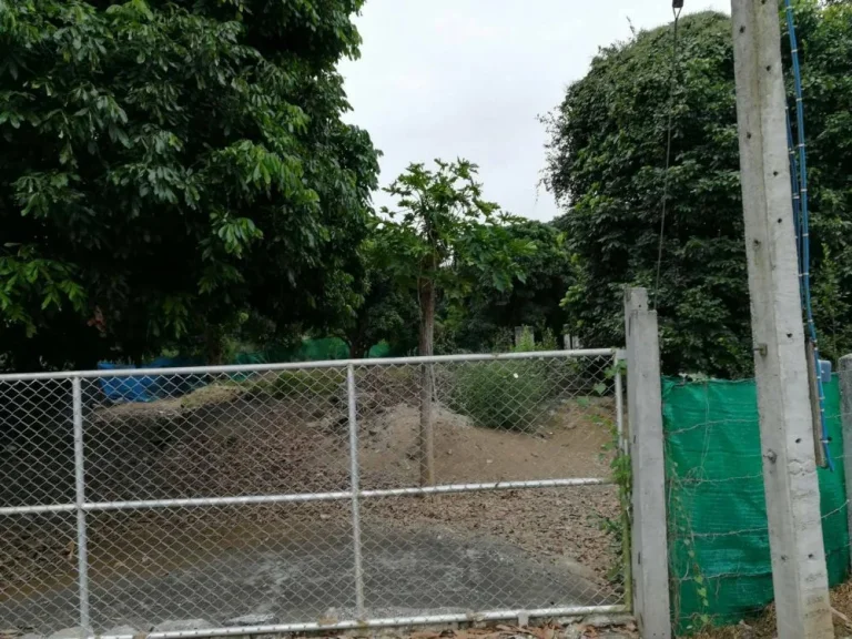 ขายที่ดินเปล่า บ้านหนองหล่ม อแม่แตง จเชียงใหม่ Land for sale