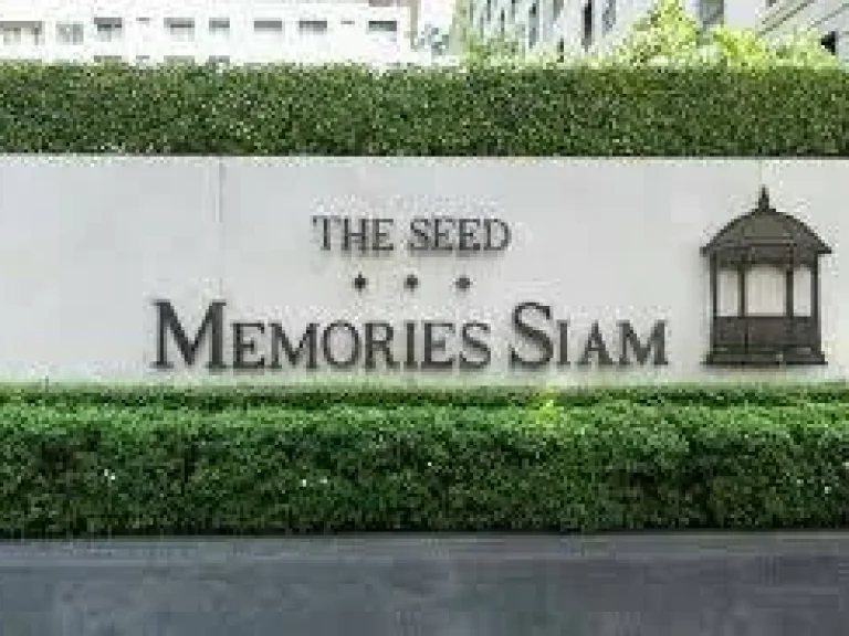 ขาย condo The Seed Memories Saim ห้อง studio ตึกB ชั้น8 ขนาด ขนาดเนื้อที่ 2645ตรม ใกล้ BTS สนามกีฬาแห่งชาติ สยามแสควร์ มาบุญครอง