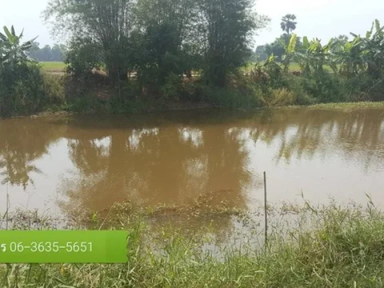 ที่ดินเพื่อการเกษตรมีน้ำใช้ตลอดปีเดินทางมาสะดวกสุดๆ