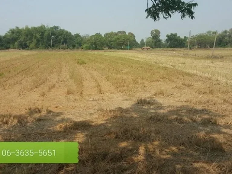 ที่ดินเพื่อการเกษตรมีน้ำใช้ตลอดปีเดินทางมาสะดวกสุดๆ