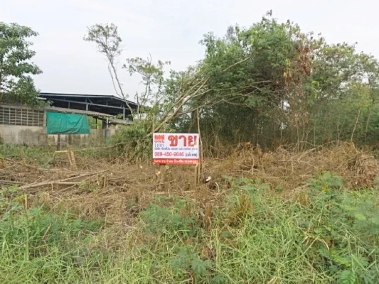 ที่ดินเปล่า เฉลิมพระเกียรติ ร9 แขวงดอกไม้ เขตประเวศ กรุงเทพ 109 ตรว