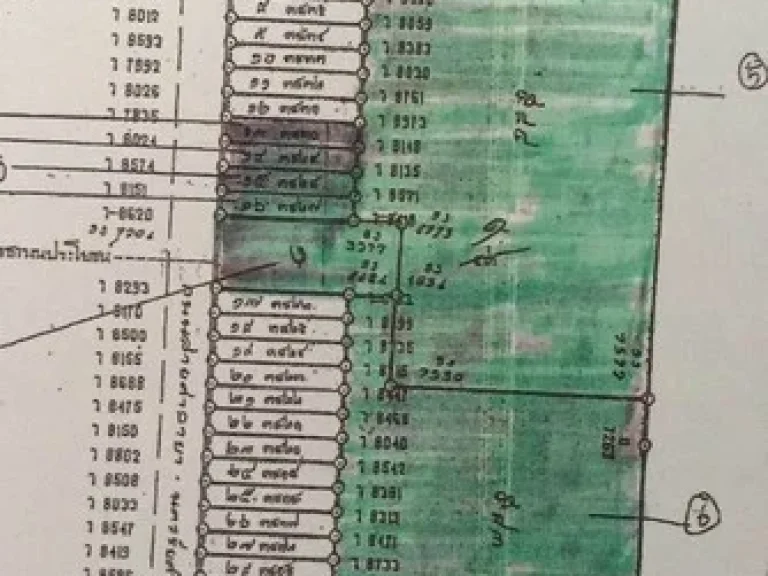 ขายที่ดินติดถนนศาลายา ใกล้ มมหิดล ศาลายา 4-2-57 ไร่