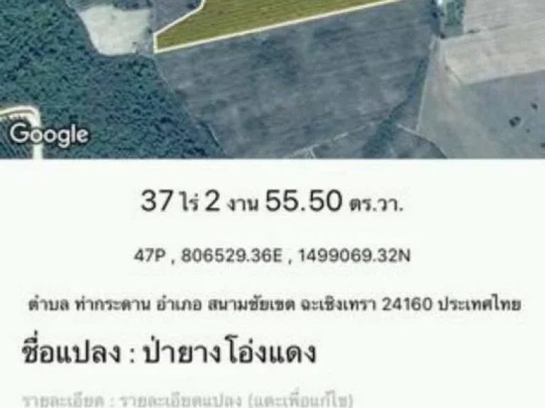 ขาย สวนยางพารา จำนวน 43 ไร่ อายุ ยางพารา 10 ปี พันธ์ยาง 251 กับ พันธ์ยาง 600