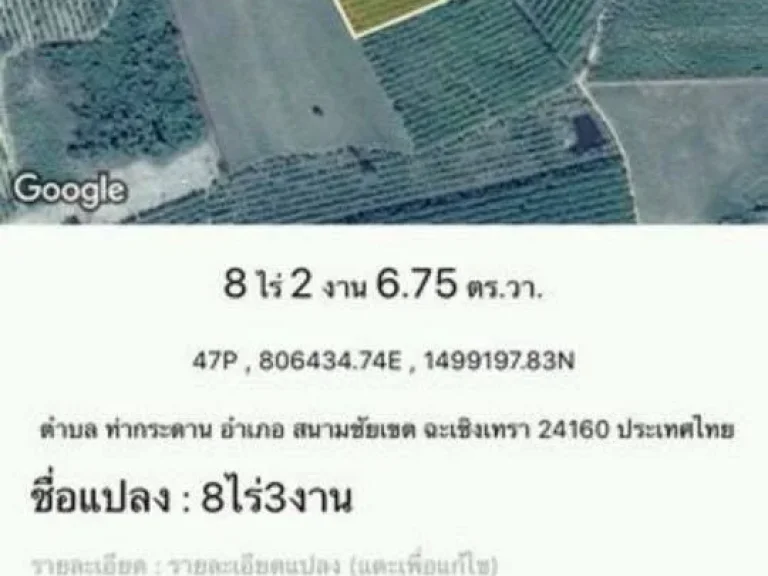 ขาย สวนยางพารา จำนวน 43 ไร่ อายุ ยางพารา 10 ปี พันธ์ยาง 251 กับ พันธ์ยาง 600