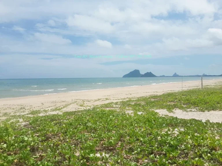 แบ่งชายที่ดินแปลงสวยติดชายหาด