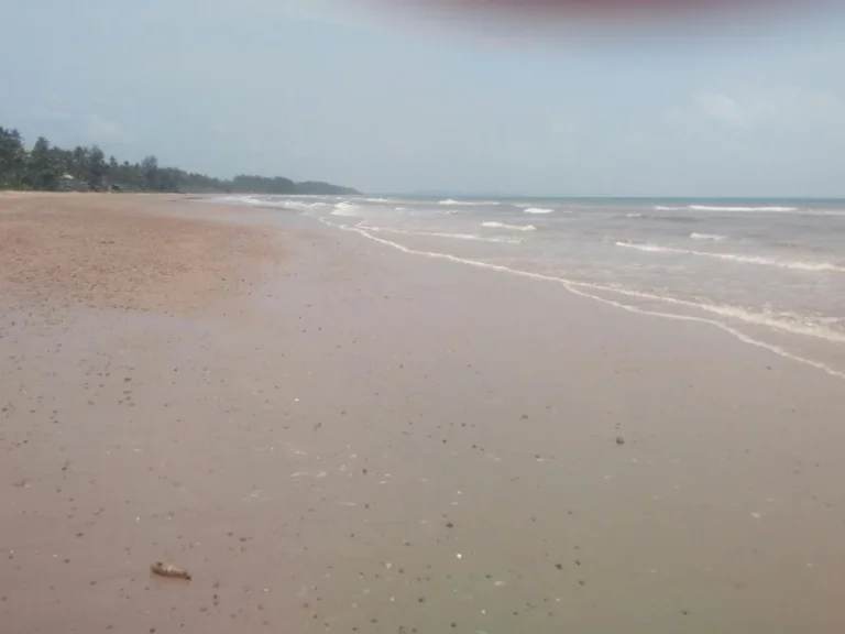 ขายที่ดินติดทะเล มีหาดส่วนตัว บางสะพานน้อย484ตรว