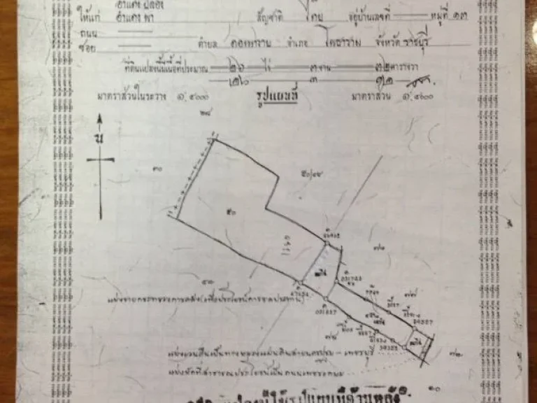 ขายด่วนที่ดิน ทำเลดี