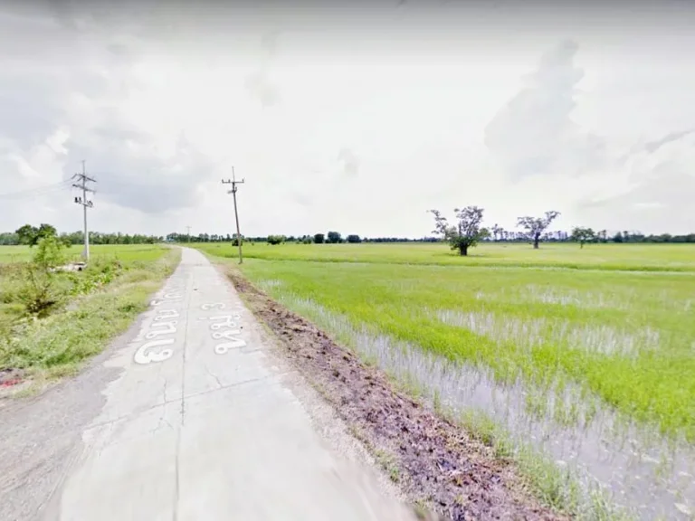 ขายที่ดินแปลงสวย 101 ไร่ บ้านหมี่ ลพบุรี