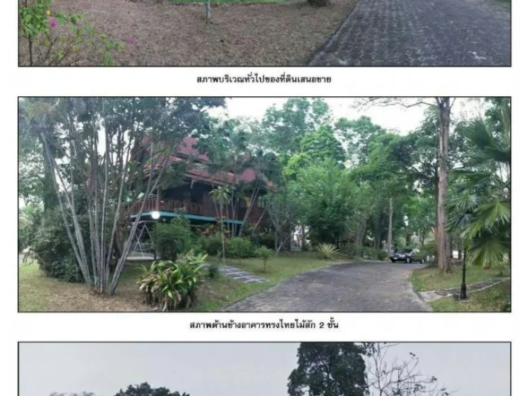 ขายที่ดินจังหวัดเชียงใหม่ พร้อมอาคารไม้สัก 2 ชั้น