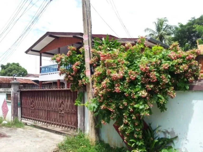 ขายบ้าน พร้อมที่ดินติดถนน เมืองสุพรรณฯ