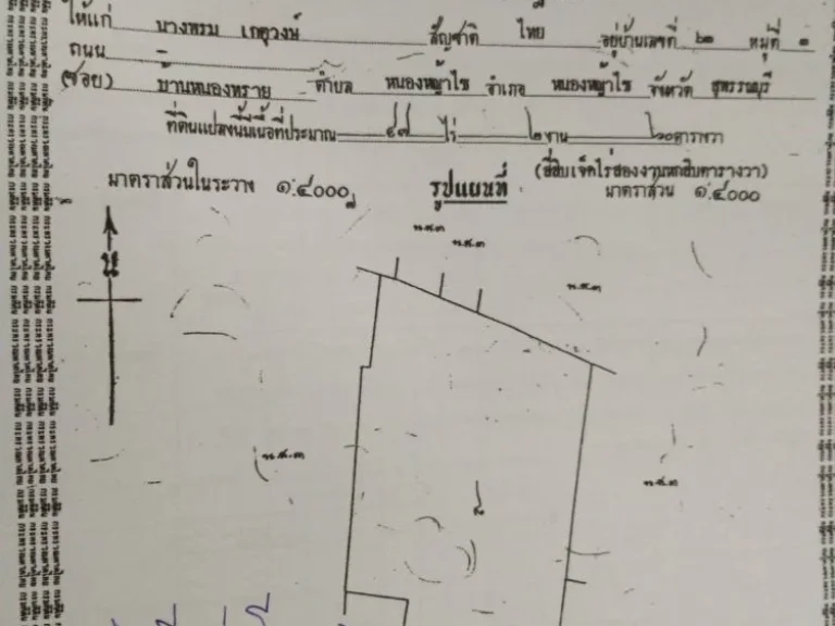 ขายที่ดินไร่อ้อย 65 ไร่ มีโฉนดพร้อมใกล้ถนนใหญ่ใกล้ปั๊มน้ำมัน อหนองหญ้าไซ จสุพรรณบุรี