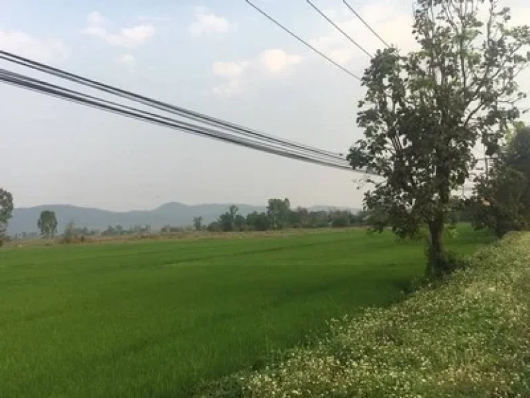 ขายที่ดินใกล้เมืองเชียงราย ห้วยสัก ติดถนนลาดยาง ทางหลวง 20 ไร่ วิวภูกเขาสวยมาก ราคาถูก