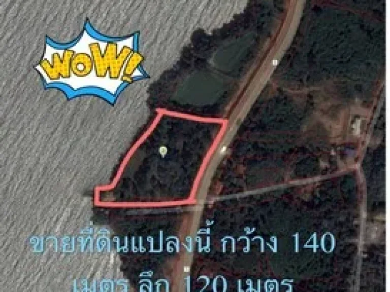 ขายที่ดินริมทะเล 102 ไร่ อคลองใหญ่ จตราด ที่ดินอยู่ที่ กม483 เนื้อที่รวม 2 แปลง หน้าถนนยาว 140 เมตร