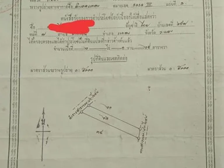 ขายสวนยางพารา 2 แปลงรวม 10 ไร่กว่า ราคาถูก