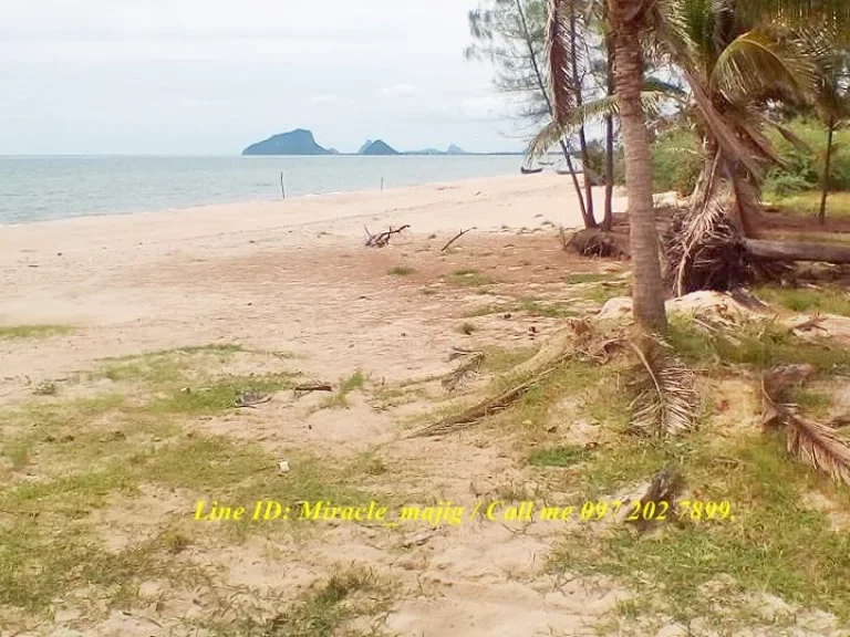 ที่ดินติดชายหาดทรายสวยน้ำใส