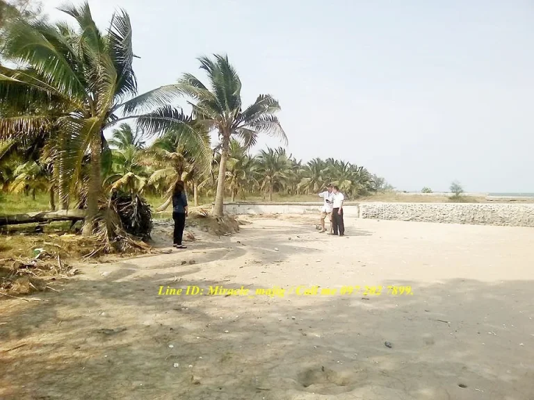 ที่ดินติดชายหาดทรายสวยน้ำใส