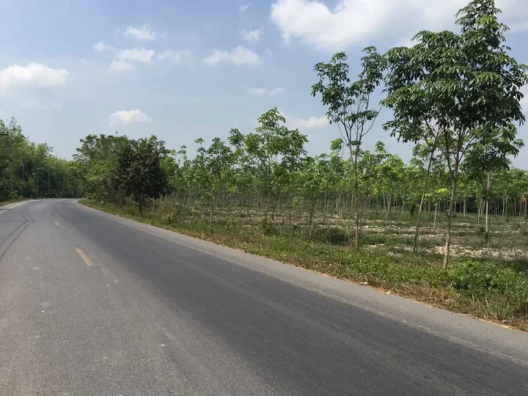 ขายที่ดินสวนยาง ติดถนนใหญ่ กิ่งอำเภอคลองหอยโข่ง หาดใหญ่ จังหวัดสงขลา