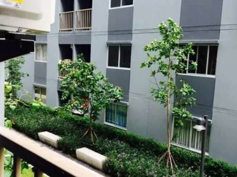 คอนโดให้เช่า6500 เดอะพอยต์ คอนโด รังสิต-คลอง 6 อาคารC 26ตรม ชั้น2 เฟอร์ครบ The Point Condo Rangsit