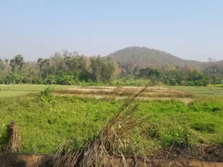 ที่ดิน ดอยสะเก็ด เชียงใหม่ 2 ไร่ ติดลำธาร