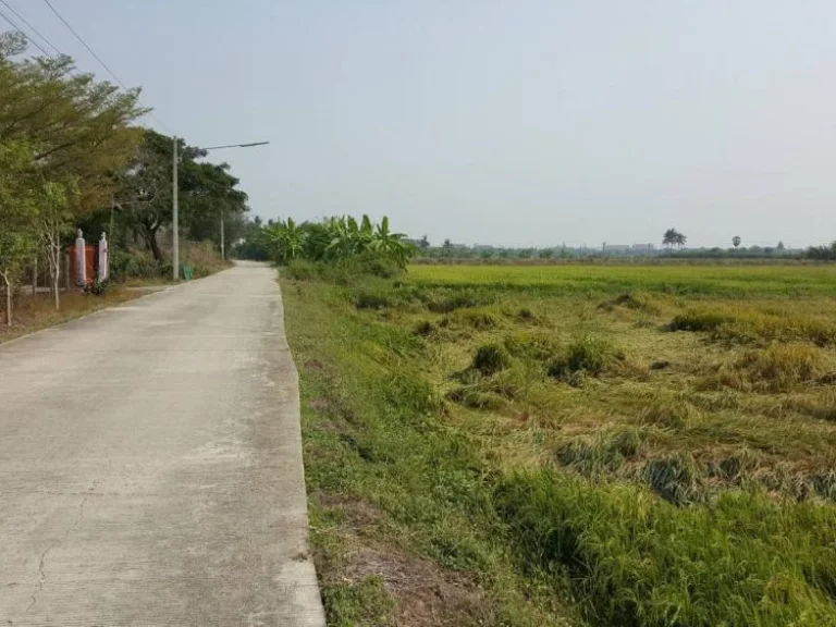 ขายที่ดิน ดอนกำยาน เมืองสุพรรณฯ