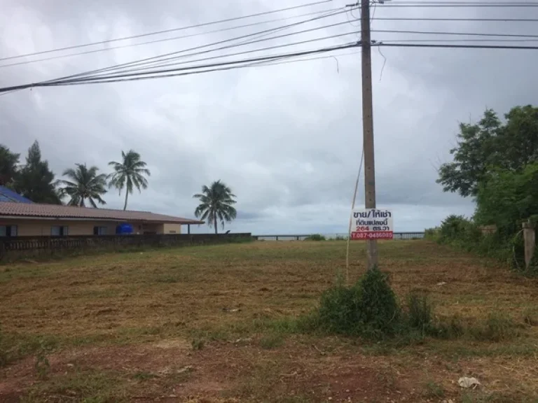 ขายที่ดินติดทะเล หาดสะพลีติดทุ่งวัวแล่น จชุมพร และที่ดินติดทะเล จประจวบ ฝั่งแดง