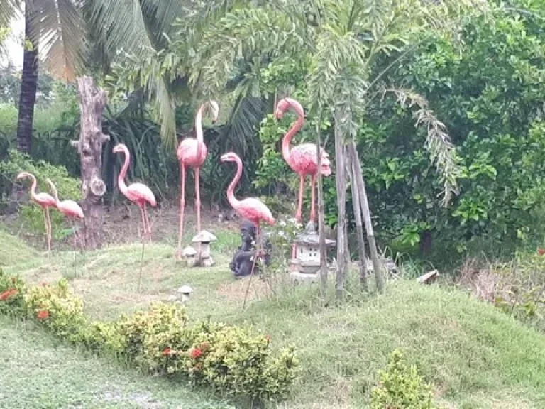 รหัสC1192 ขายที่ดินสุพรรณบุรี 30 ไร่ เหมาะสำหรับทำสวนและการลงทุนมีผลกำไรตอบแทน