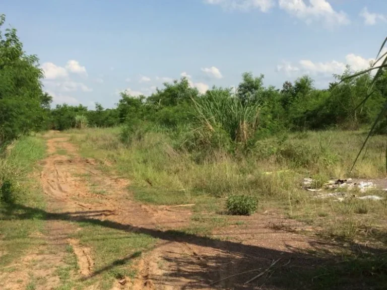 ขายที่ดินตัวเมืองอุดร ในเขตชุมชน เหมาะแก่การลงทุน