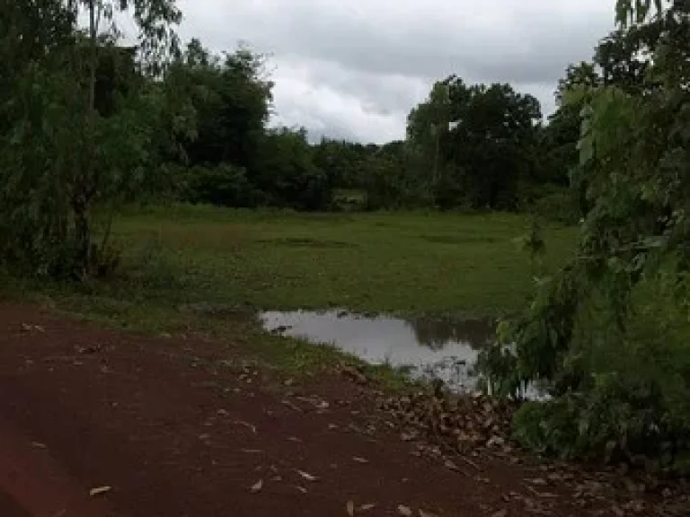 ขายที่ดิน 1 ไร่ บ้านหนองแวง ติดถนนซอย ห่างถนนทางหลวง ชนบท