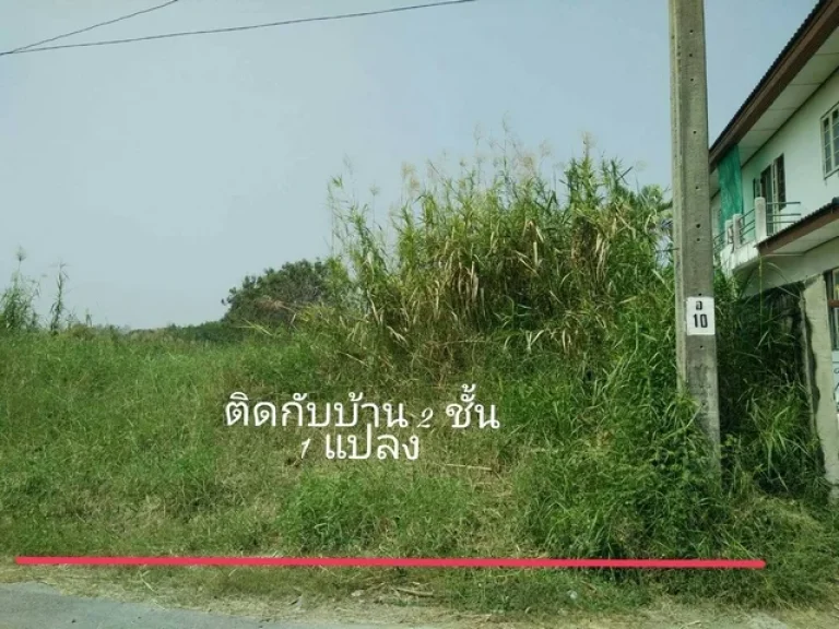 ขายที่ดิน 99 ตรว ถมแล้ว มี 4 แปลง อบางบัวทอง ถนนบางกรวย-ไทรน้อย นนทบุรี