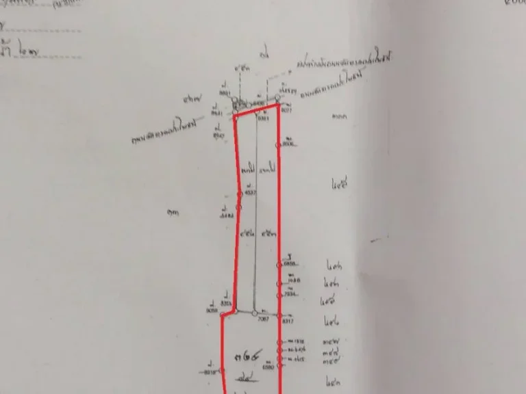 ขายที่ดิน21ไร่ ใกล้ถนนเลียบคลองบางน้ำจืด อเมือง จสมุทรสาคร หน้ากว้างติดถนน70เมตร เข้าออกได้หลายทาง เข้าออกได้ทั้งทางบางบอน5