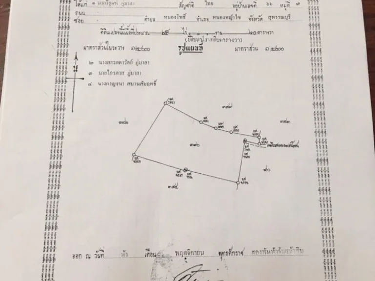 ขายที่ดิน 60 ไร่ สุพรรณบุรี มี4แปลง ทำนาได้ตลอดปี ไกล้แหล่งน้ำ