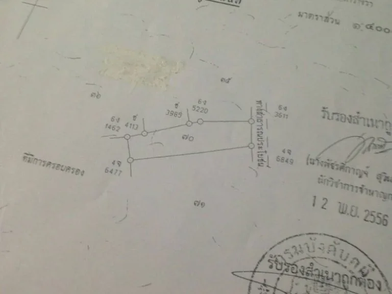 ขายด่วน ขายถูก โฉนดบนเกาะคอเขา จังหวัดพังงา