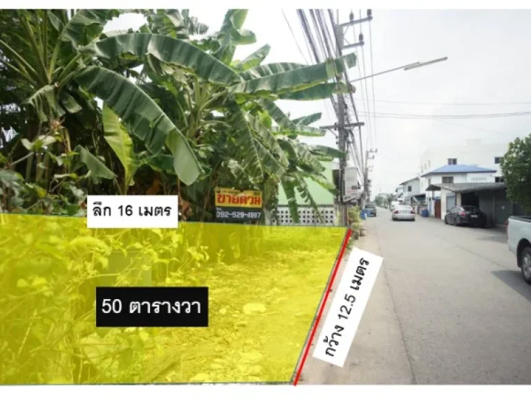 ที่ดินเปล่า 50 ตรว เยื้องมหาลัยธรรมศาสตร์ คลองหลวงคลอง 1 เหมาะทำบ้านพัก กว้าง 125 เมตร