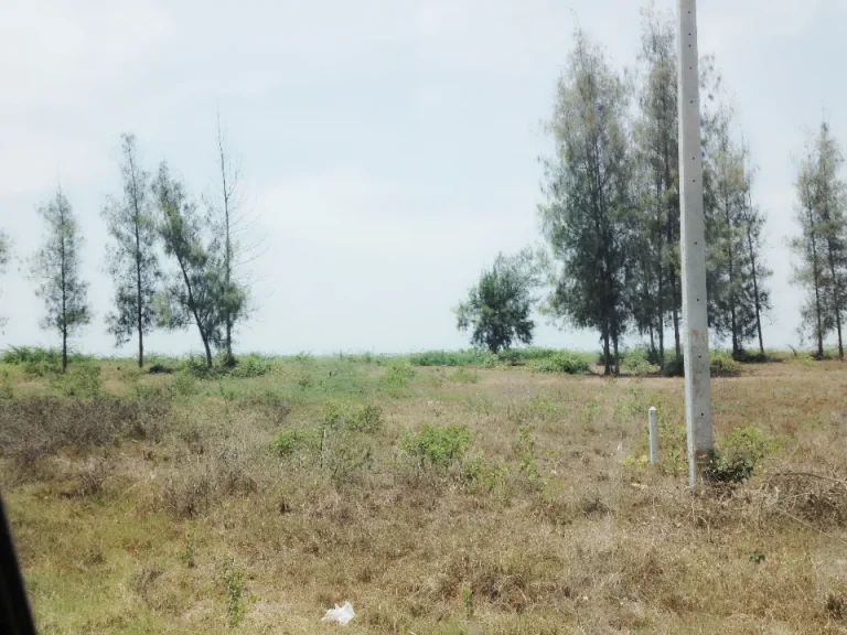 เช่าที่ดินติดทะเลกุยบุรี ประจวบคีรีขันธ์ กม ที่ 275 เนื้อที่ 536 ตรว Rental 1acre beachfront land at Kuiburi Prajuobkeereekhun province 275km far