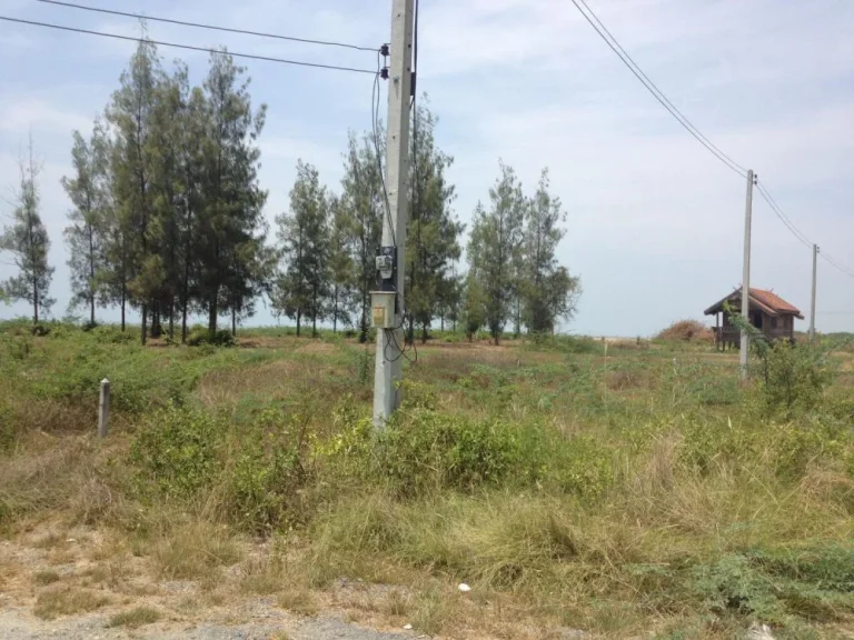 เช่าที่ดินติดทะเลกุยบุรี ประจวบคีรีขันธ์ กม ที่ 275 เนื้อที่ 536 ตรว Rental 1acre beachfront land at Kuiburi Prajuobkeereekhun province 275km far