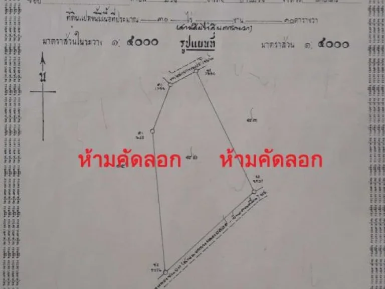 ขายที่ดิน 30 ไร่ ฺติดถนนลาดยาง 200 เมตร