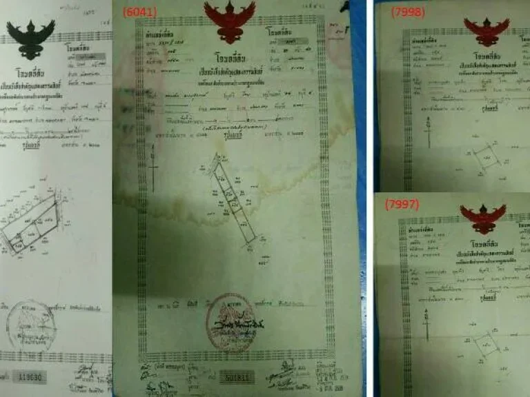 ที่ดินมีโฉนด 3 ไร่ อปลวกแดง จระยอง