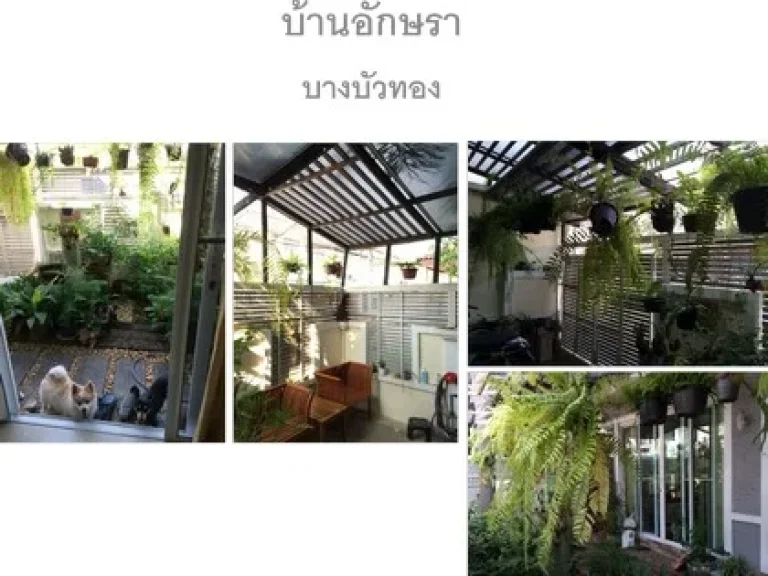 ขายบ้านอักษรา บางบัวทอง บ้านพื้นที่ 298 ตรว ต่อเติมครบพร้อมตกแต่ง