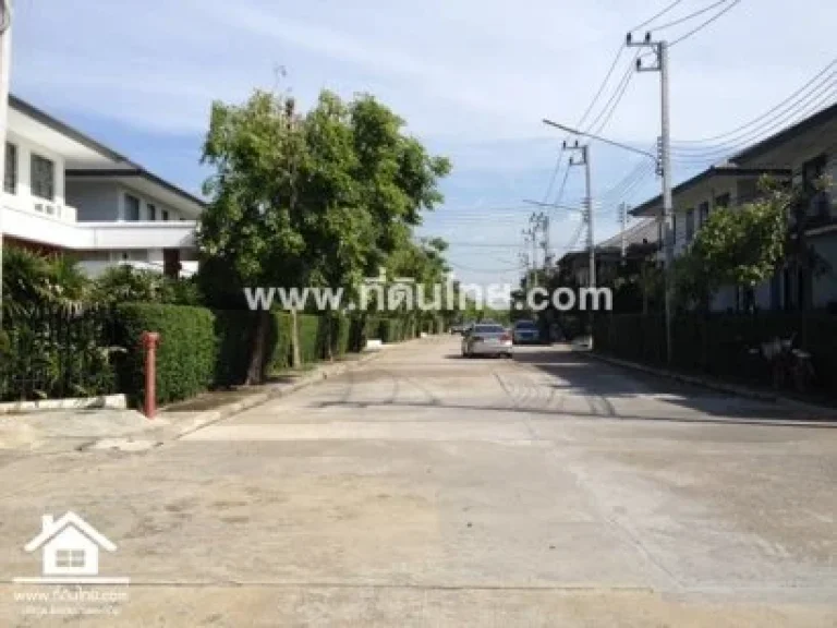 ขายบ้านปทุมธานี 50 ตรวโฉนด ตหลักหก อเมืองปทุมธานี จปทุมธานี รหัส 3648