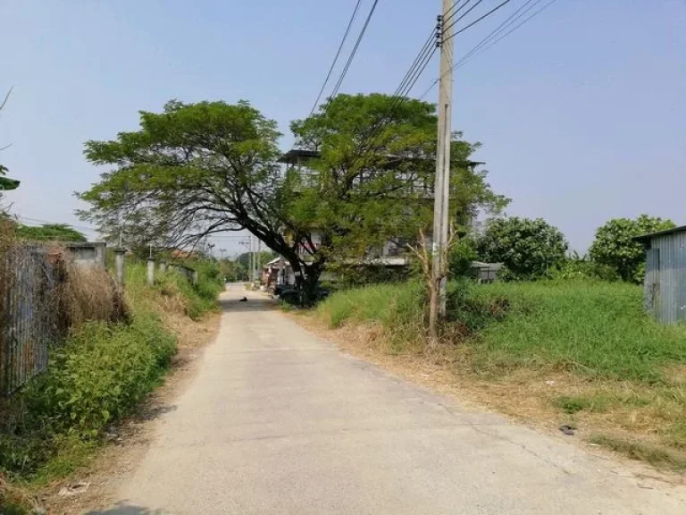 ขายที่ดินเปล่า 150ตรว ลึก18 เมตร กว้าง 32เมตร ทางเข้าวัดใหญ่สว่างอารมณ์ใกล้ ถราชพฤกษ์ ซอ้อมเกร็ด43 ปากเกร็ดนนทบุรี