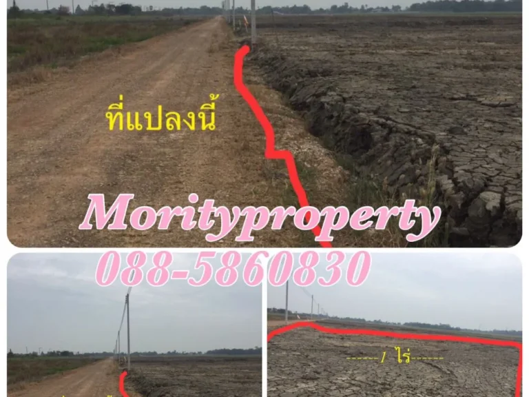 ขายที่ดินคลอง 9 ถมแล้ว ตบึงทองหลาง อลำลูกกา จปทุมธานี