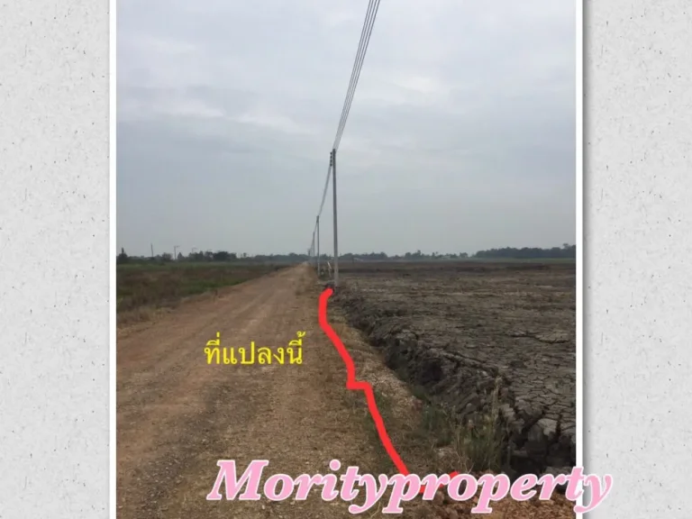 ขายที่ดินคลอง 9 ถมแล้ว ตบึงทองหลาง อลำลูกกา จปทุมธานี