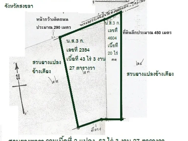 ขายที่ดินสวนยาง เทพา สงขลา 63 ไร่ 3 งาน 27 ตารางวา