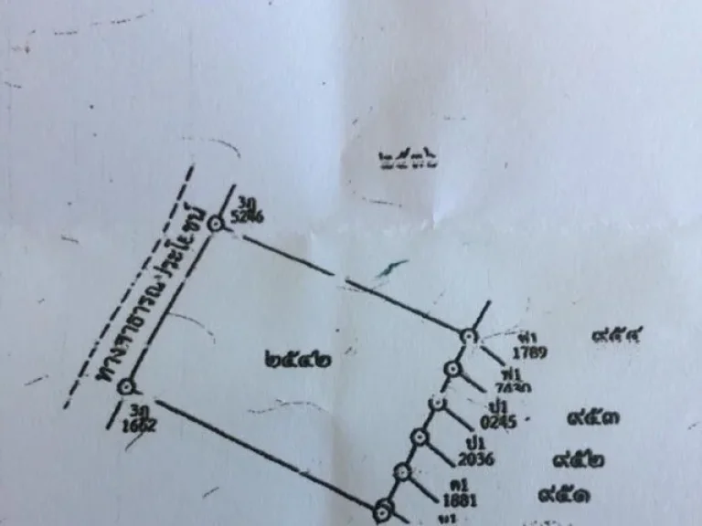 ขายที่ดิน 3งาน15ตรว เทศบาลสำราญ เมืองยโสธร