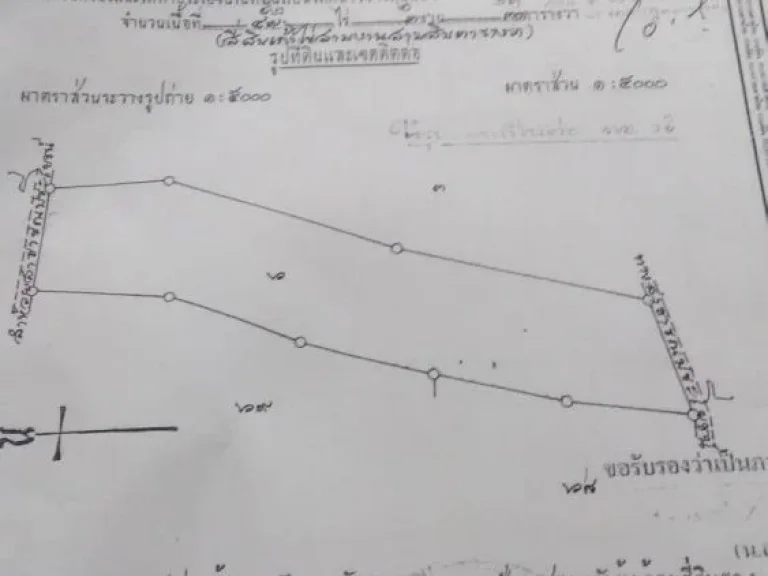 ขายที่ดินพร้อมสวนยางพารา พื้นที่ 52 ไร่ 2งาน